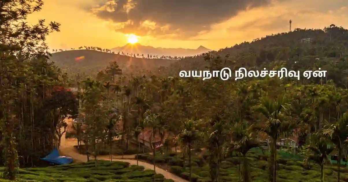 வயநாடு நிலச்சரிவு: காரணம் என்ன? வயநாடு நிலச்சரிவு: காரணம் என்ன?